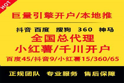 百度竞价赚钱的实战案例分析